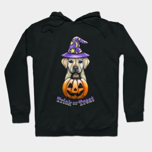 Trick or Treat Pup Hoodie